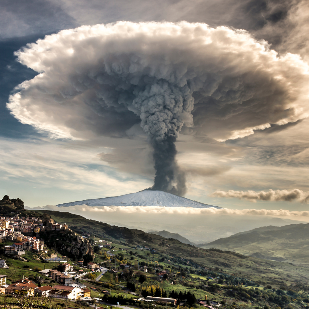 La Sicilia Vitivinicola