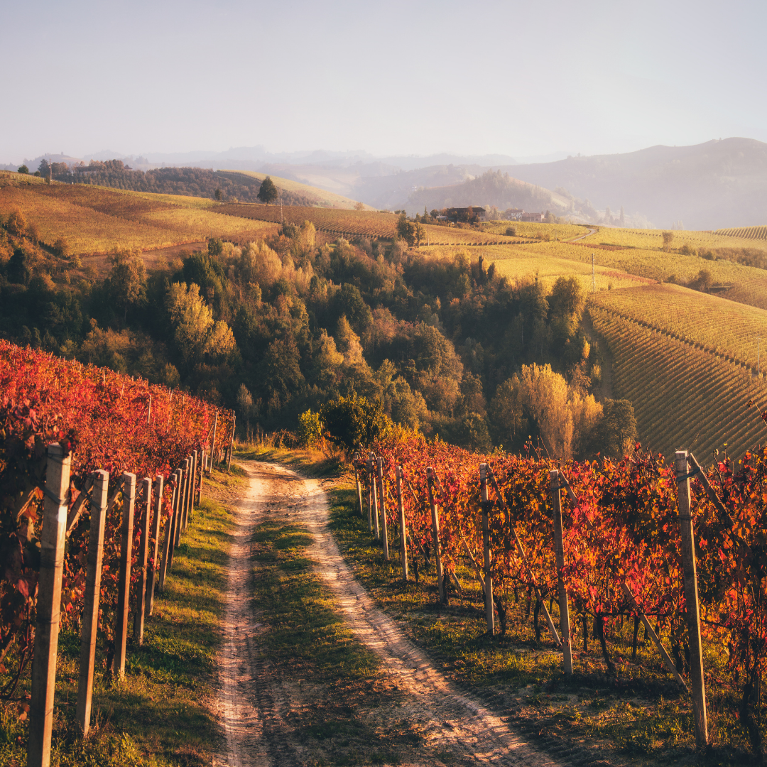 Autunno in Piemonte