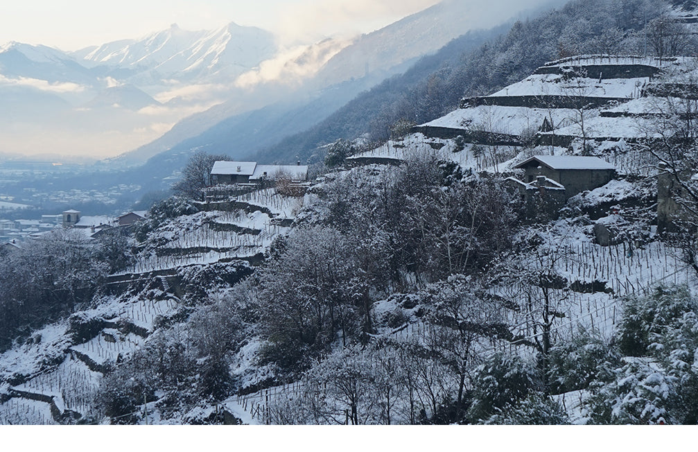 Valtellina al top della viticoltura mondiale