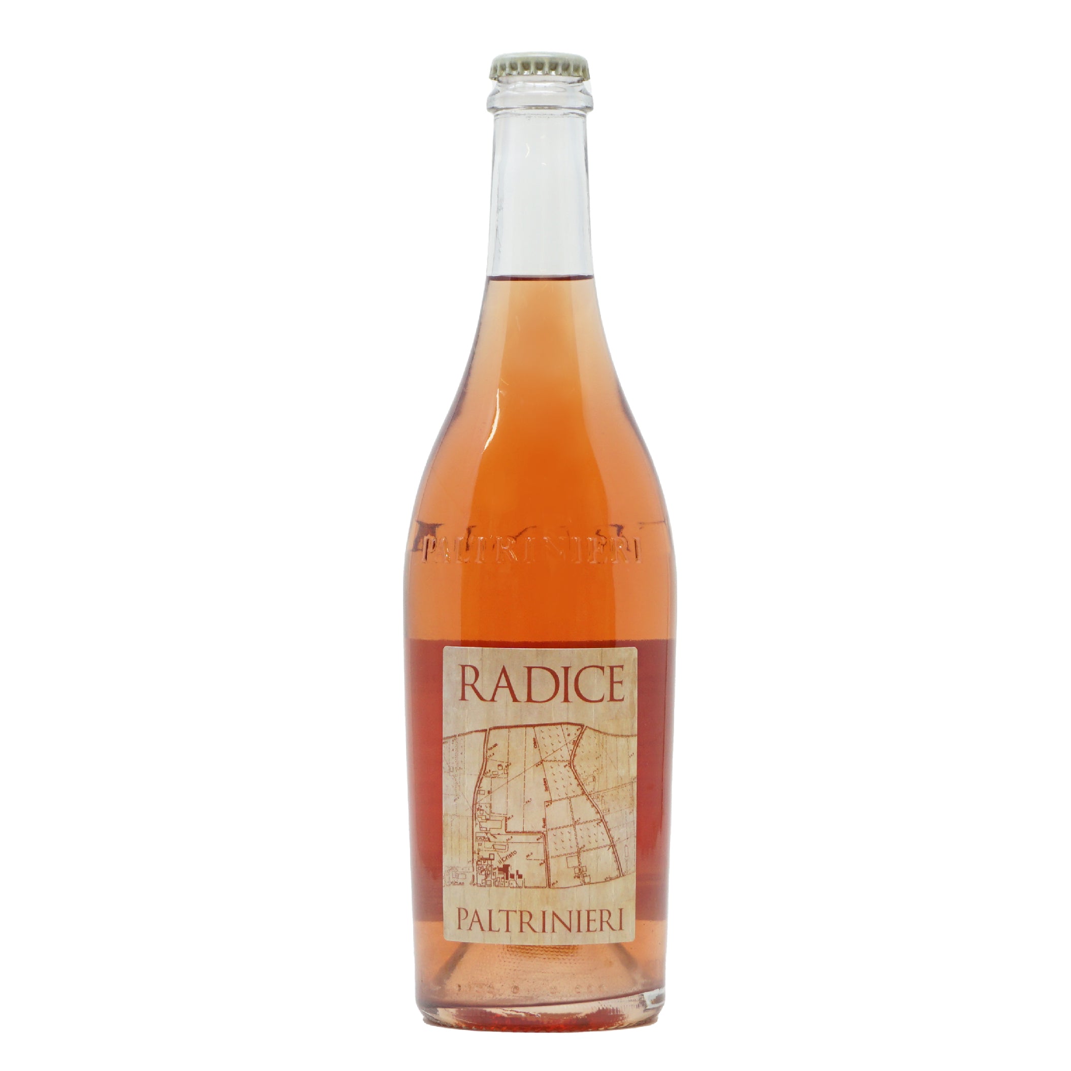 Radice 2022 Lambrusco di Sorbara doc Paltrinieri lt.0,750