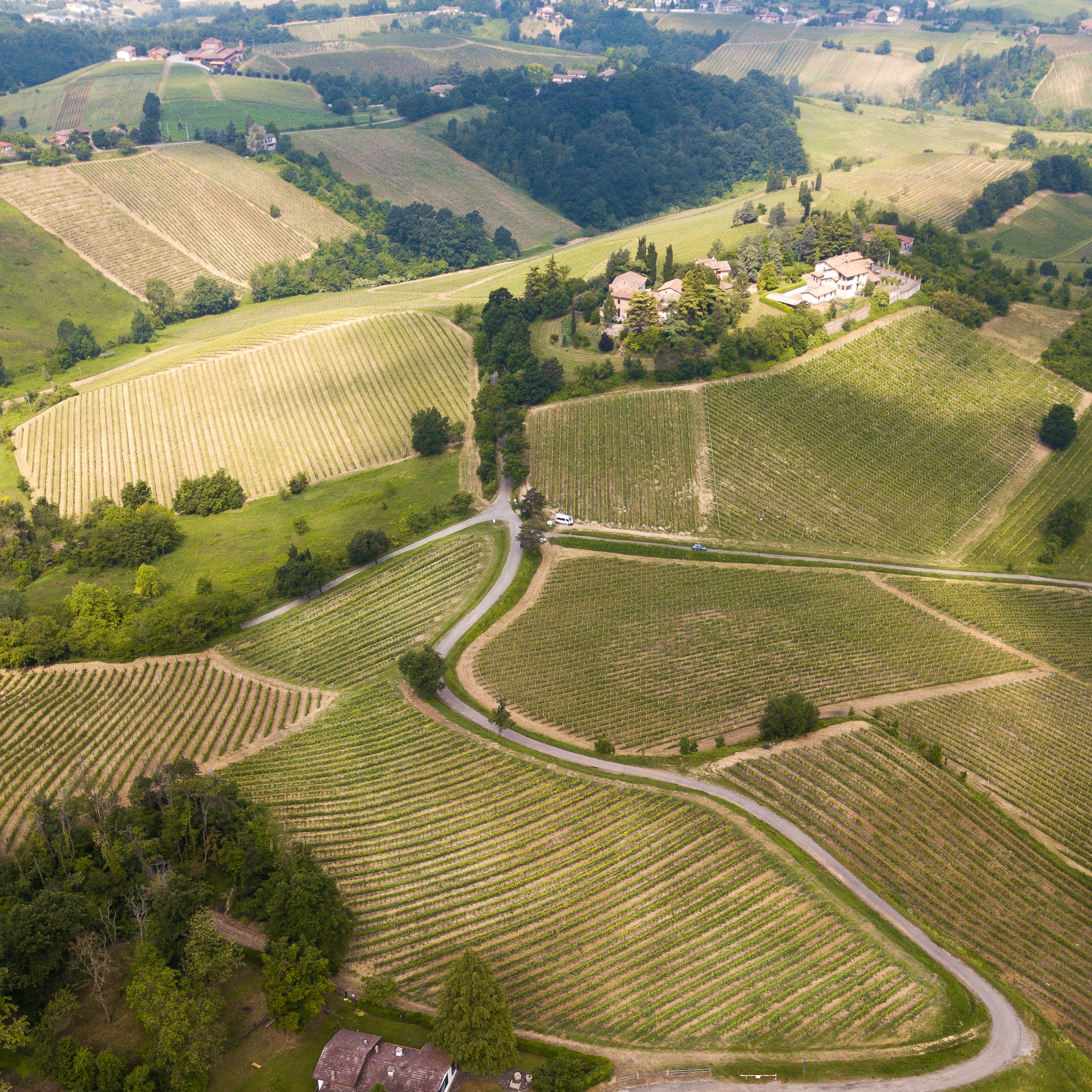 Oltrepò Pavese: Il Pinot Nero e i Suoi Spumanti Metodo Classico di Eccellenza