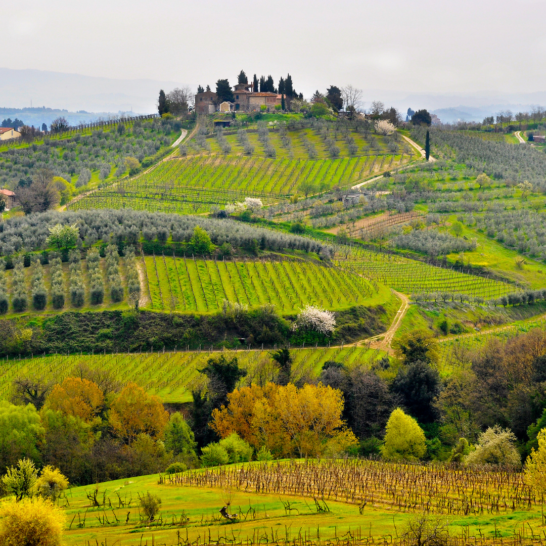 La Toscana e il Chianti Classico
